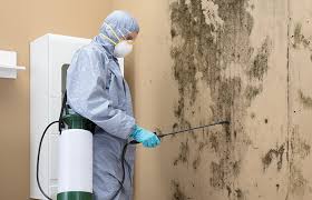 Best HVAC Mold Inspection and Cleaning  in Chapel Hill, TN